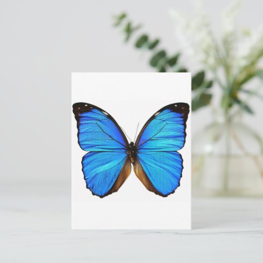 Vlinder Briefkaart (Staand voorkant)