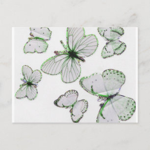 vlinder Briefkaart