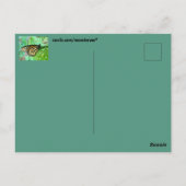 Vlinder Briefkaart (Achterkant)