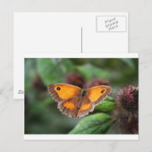Vlinder Briefkaart (Voorkant / Achterkant)