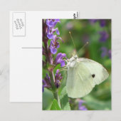 Vlinder Briefkaart (Voorkant / Achterkant)