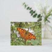 Vlinder Briefkaart - Comma (Staand voorkant)