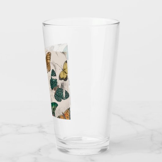 Vlinder Collectie Antiek Vlinders Glas (Links)