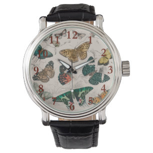 Vlinder Collectie Antiek Vlinders Horloge