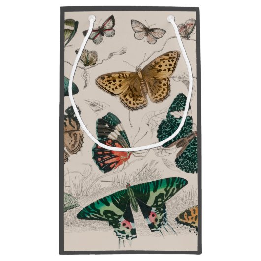 Vlinder Collectie Antiek Vlinders Klein Cadeauzakje (Achterkant)