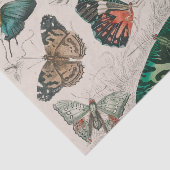 Vlinder Collectie Antiek Vlinders Tissuepapier (Detail)