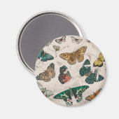 vlinder collectie antiek waterverf boter magneet (Voorkant / Achterkant)