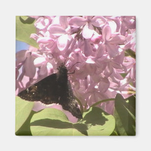 Vlinder en Lilacs Magnet Magneet