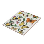  vlinder en moth tegeltje (Zijkant)