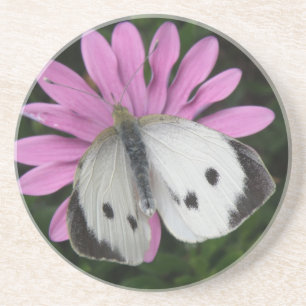 Vlinder en Roze Bloem Onderzetters