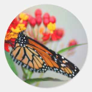 Vlinder en ventilatorStickers Ronde Sticker