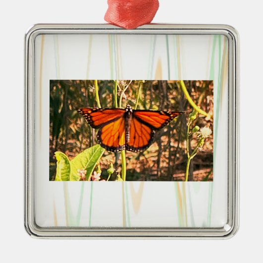 Vlinder Foto Ornament (Voorkant)