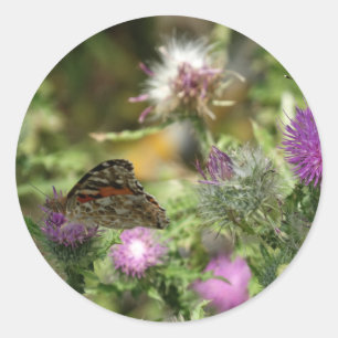 Vlinder foto ronde Sticker, glanzend Sticker