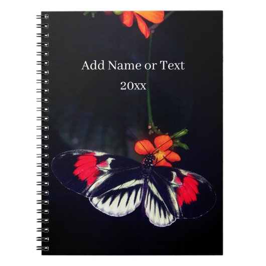 Vlinder Fotoboek Notitieboek (Voorkant)