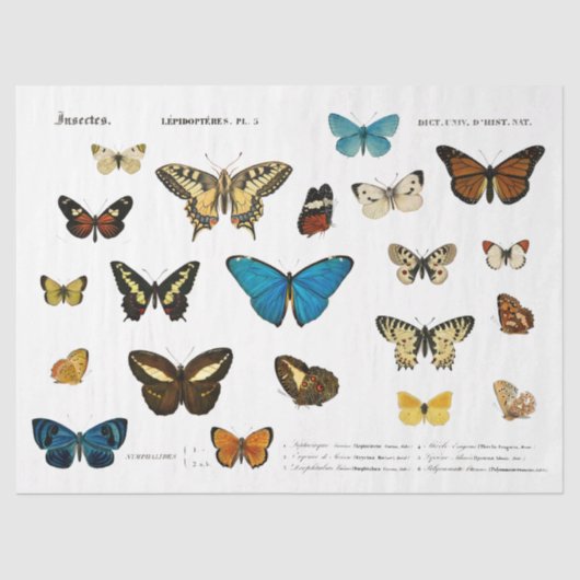 vlinder  frans decoupage fussy cut tissuepapier (Voorkant)