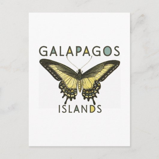 Vlinder Galapagos Eilanden Briefkaart (Voorkant)
