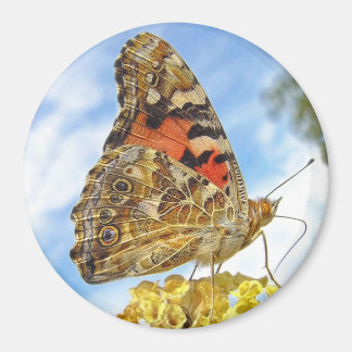 Vlinder geschilderde dame magneet