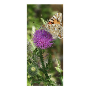 Vlinder in natuurfotografie rackcard reclamekaart
