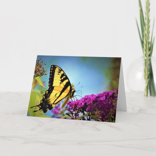Vlinder, kaart (Voorkant)