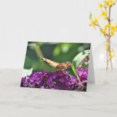 Vlinder, kaart (Gele Bloem)