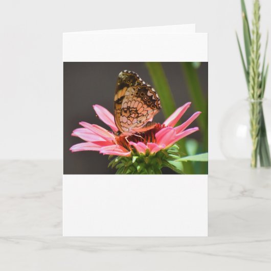 Vlinder, kaart (Voorkant)