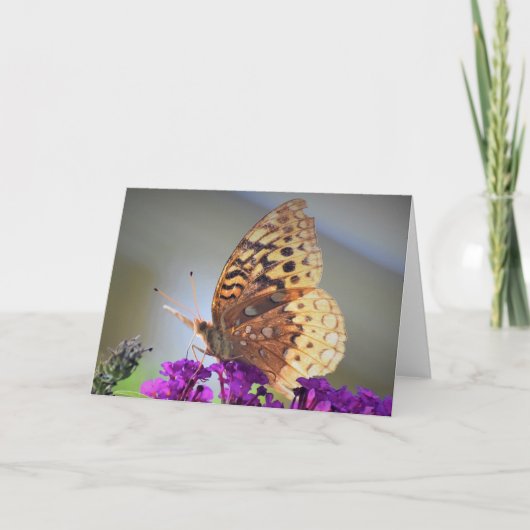 Vlinder, kaart (Voorkant)