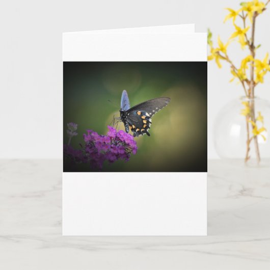 Vlinder, kaart (Gele Bloem)