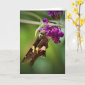 Vlinder, kaart (Gele Bloem)