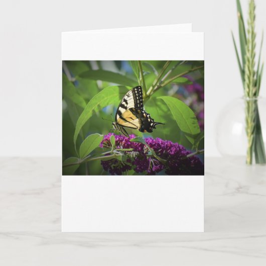 Vlinder, kaart (Voorkant)