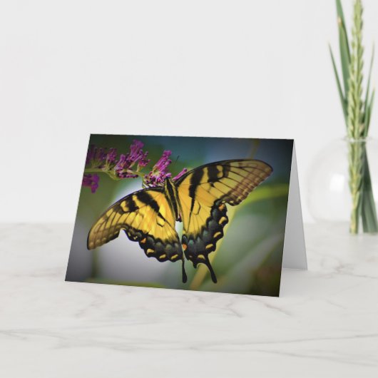 Vlinder, kaart (Voorkant)