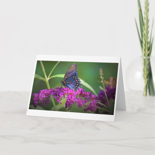 Vlinder, kaart (Voorkant)