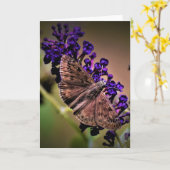 Vlinder, kaart (Gele Bloem)