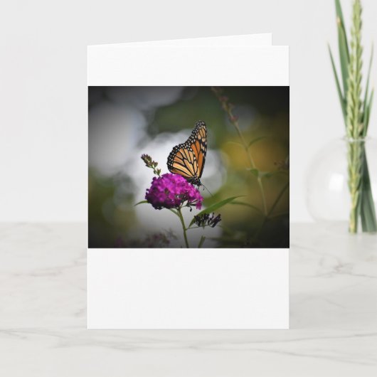 Vlinder, kaart (Voorkant)