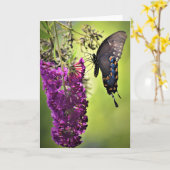 Vlinder, kaart (Gele Bloem)