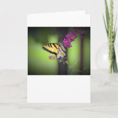 Vlinder, kaart (Voorkant)
