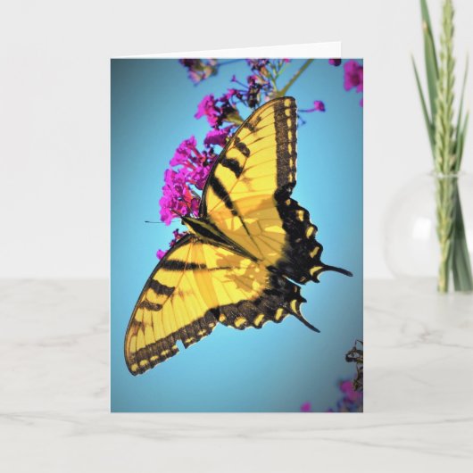 Vlinder, kaart (Voorkant)