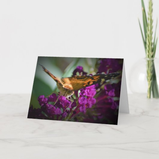 Vlinder, kaart (Voorkant)