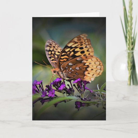 Vlinder, kaart (Voorkant)