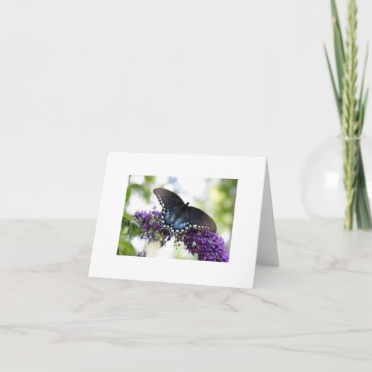 Vlinder Kaart (Voorkant)