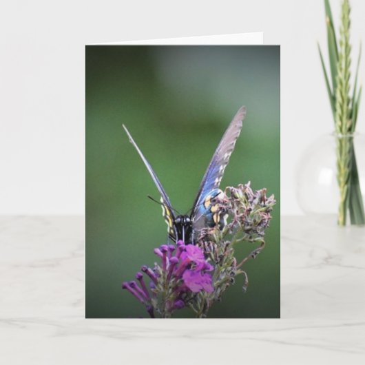 Vlinder, kaart (Voorkant)