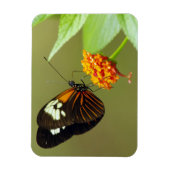 Vlinder kleine magneet (Verticaal)