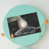 Vlinder Koi Foto Grappige Verjaardag Kaart