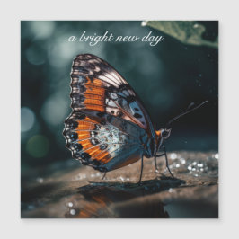 Vlinder met waterreflectie in het zonlicht