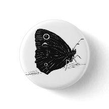 Vlinder Monochroom