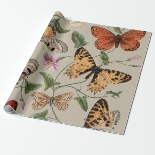 Vlinder Mot Natuur Collectie Tekening Cadeaupapier