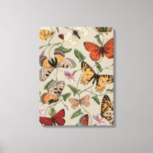 Vlinder Mot Natuur Collectie Tekening Canvas Afdruk
