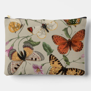 Vlinder Mot Natuur Collectie Tekening Etui