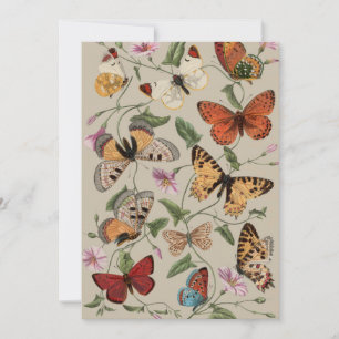 Vlinder Mot Natuur Collectie Tekening Feestdagenkaart
