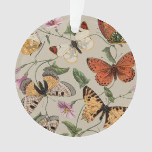 Vlinder Mot Natuur Collectie Tekening Ornament