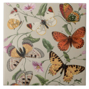 Vlinder Mot Natuur Collectie Tekening Tegeltje